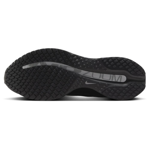 Nike Pegasus Premium